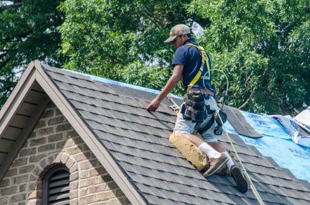 Professional Roofing Contractor in Battle Ground, IN